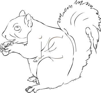 Rodent Clipart