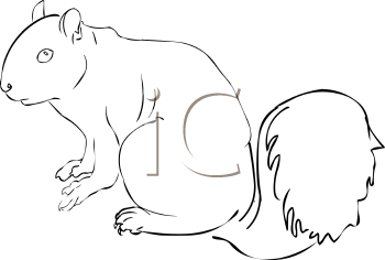 Rodent Clipart