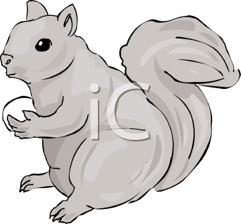 Rodent Clipart