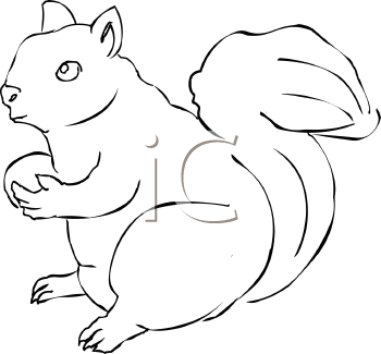 Rodent Clipart