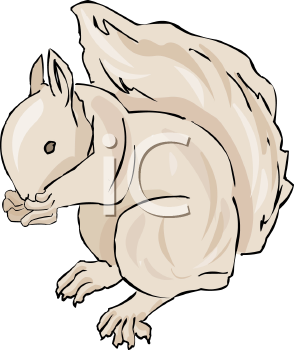 Rodent Clipart