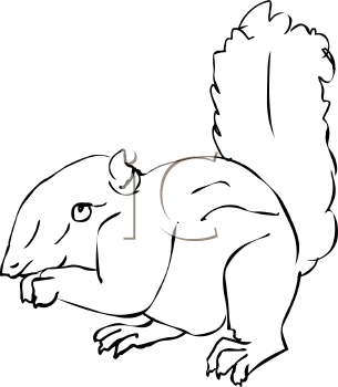 Rodent Clipart