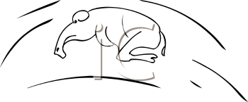 Mammal Clipart