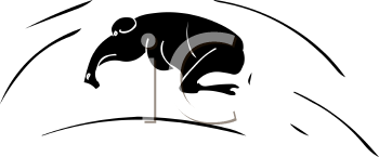 Mammal Clipart