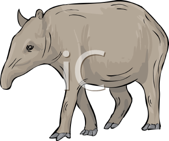 Mammal Clipart