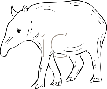 Mammal Clipart