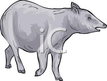 Mammal Clipart