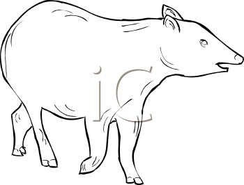 Mammal Clipart