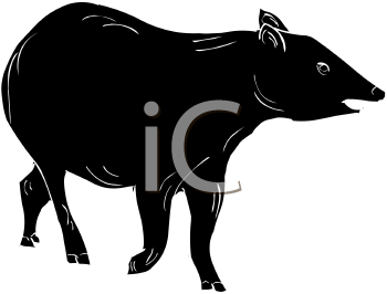 Mammal Clipart