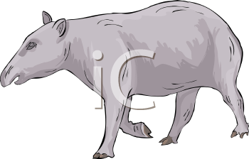 Mammal Clipart