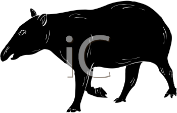 Mammal Clipart