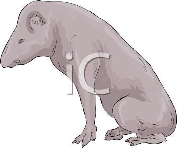 Mammal Clipart