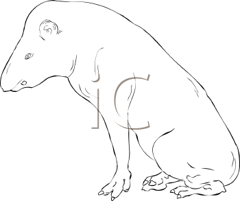 Mammal Clipart