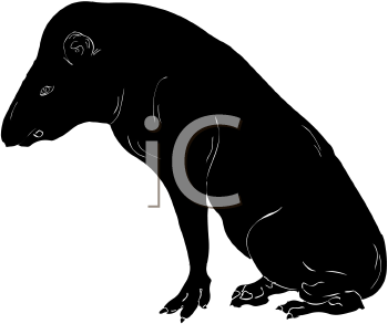 Mammal Clipart