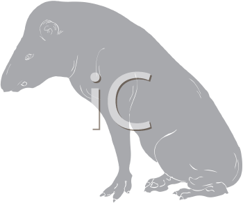 Mammal Clipart