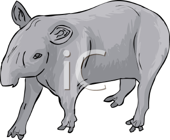 Mammal Clipart