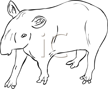 Mammal Clipart