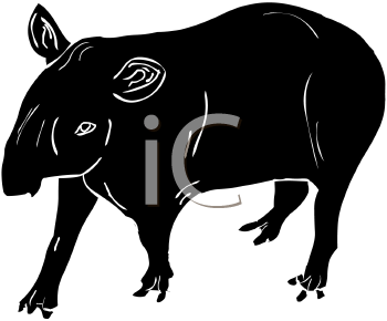 Mammal Clipart