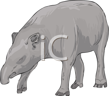 Mammal Clipart