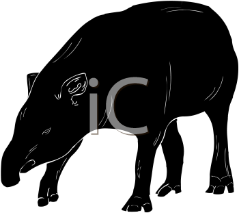 Mammal Clipart