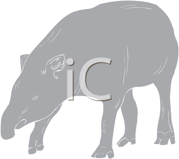 Mammal Clipart