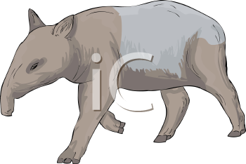 Mammal Clipart