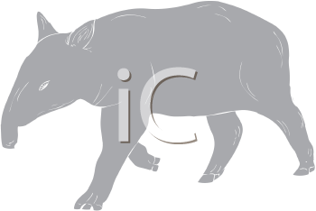 Mammal Clipart