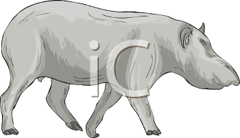 Mammal Clipart