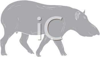 Mammal Clipart