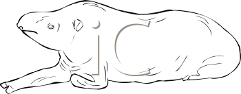 Mammal Clipart