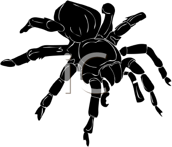 Arachnid Clipart