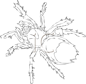 Arachnid Clipart