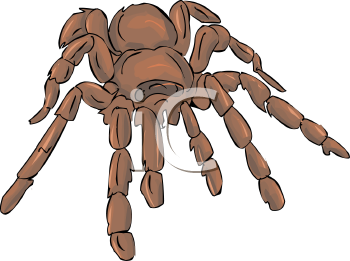 Arachnid Clipart