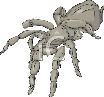 Arachnid Clipart