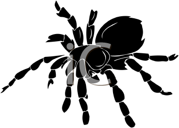 Arachnid Clipart