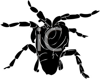 Arachnid Clipart