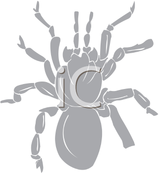 Arachnid Clipart