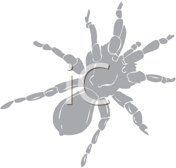 Arachnid Clipart