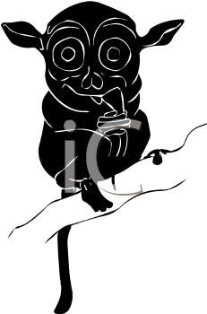 Primate Clipart