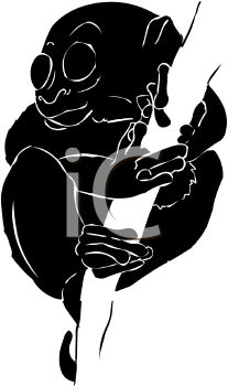 Primate Clipart