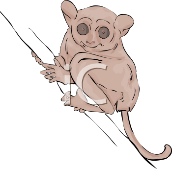 Primate Clipart