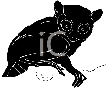 Primate Clipart