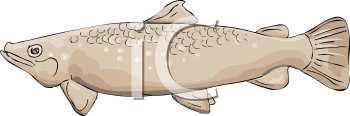 Fish and Sea Life Clipart