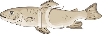 Fish and Sea Life Clipart