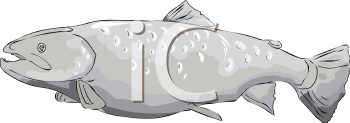 Fish and Sea Life Clipart