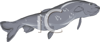 Fish and Sea Life Clipart