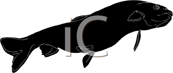 Fish and Sea Life Clipart