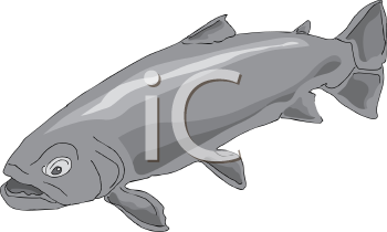 Fish and Sea Life Clipart