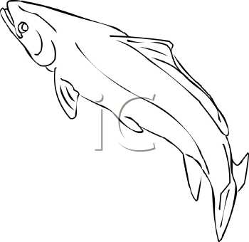 Fish and Sea Life Clipart