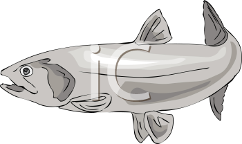 Fish and Sea Life Clipart